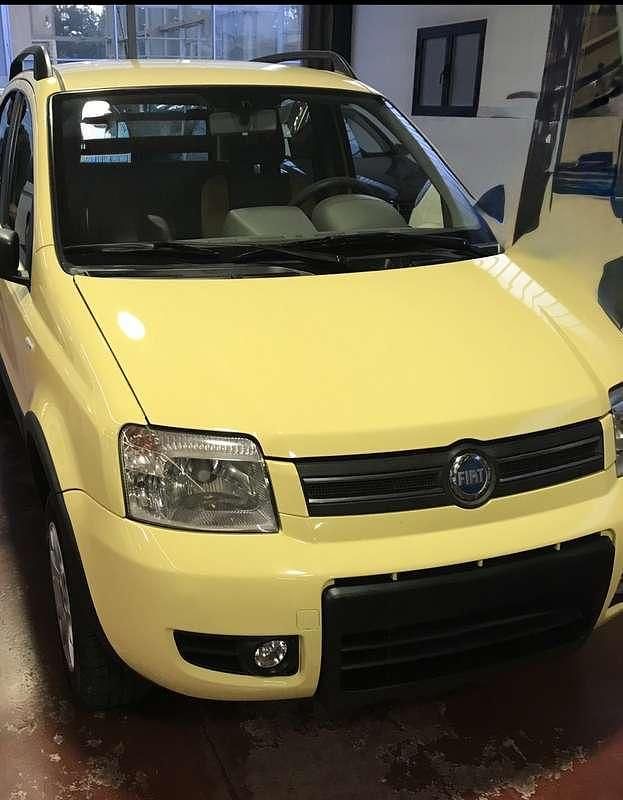 Usata Fiat Panda 4x4 60 CV (44 kW) 2006 Utilitaria
