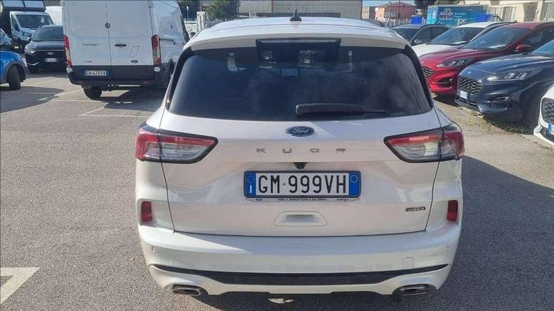 Usata Ford Kuga ST-Line X 224 CV (164 kW) 2023 Bianco SUV