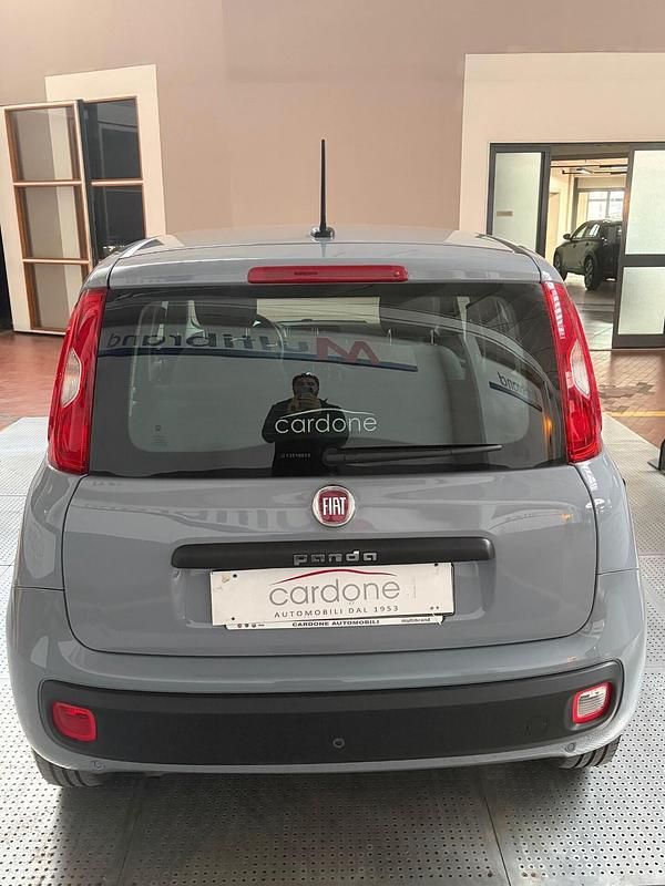 Usata Fiat Panda Easy 69 CV (50 kW) 2020 Grigio Utilitaria