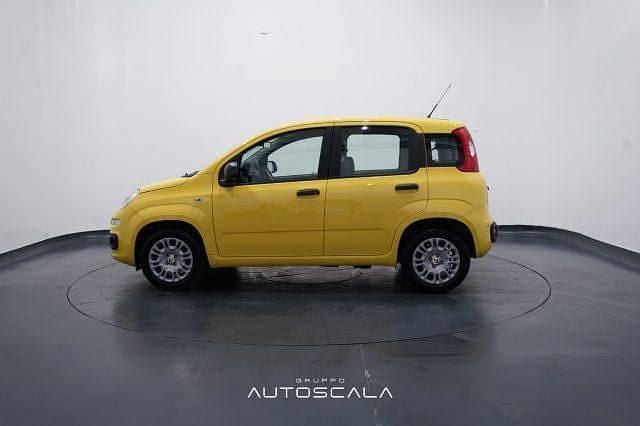 Nuova Fiat Panda S 69 CV (50 kW) 2025 Giallo Utilitaria