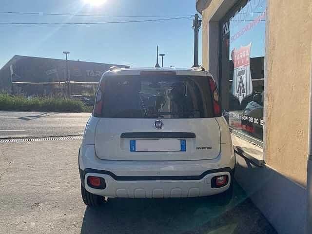 Usata Fiat Panda S 69 CV (50 kW) 2024 Bianco Utilitaria
