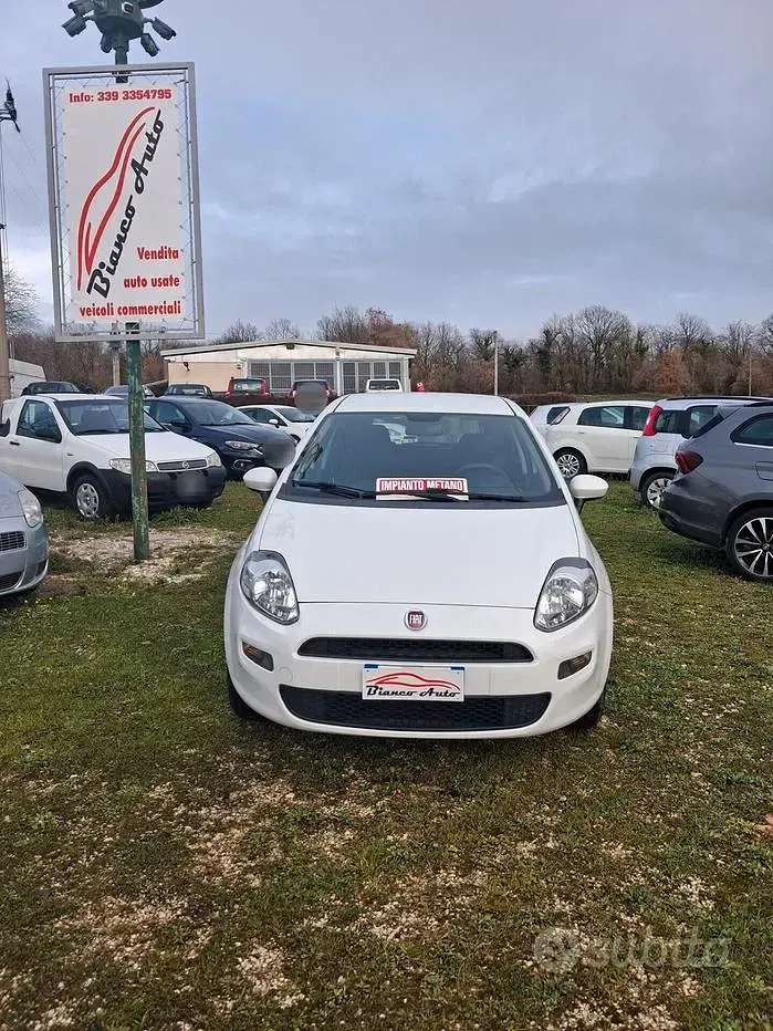 Usata Fiat Punto 77 CV (56 kW) 2016 Utilitaria