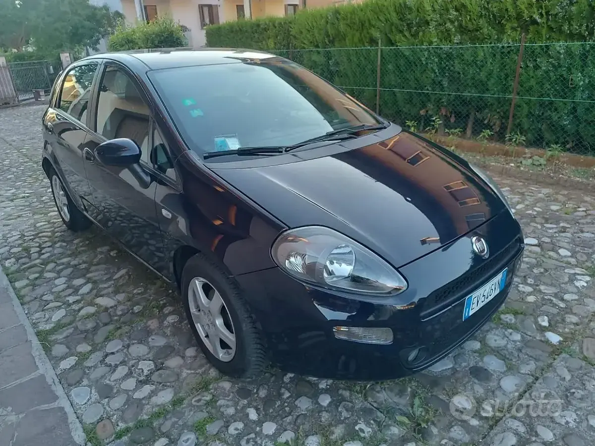 Usata Fiat Punto 75 CV (55 kW) 2014 Blu Utilitaria