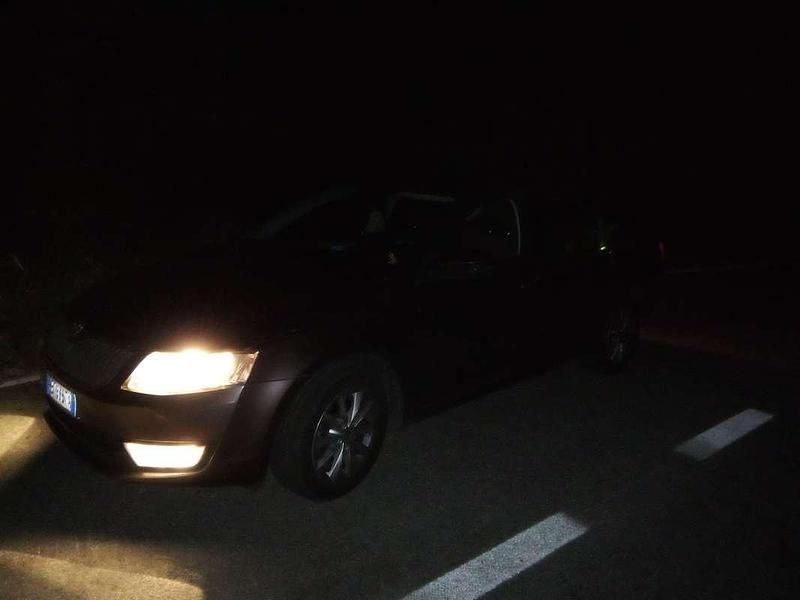 Usata Skoda Octavia Ambition 105 CV (77 kW) 2014 Marrone Berlina