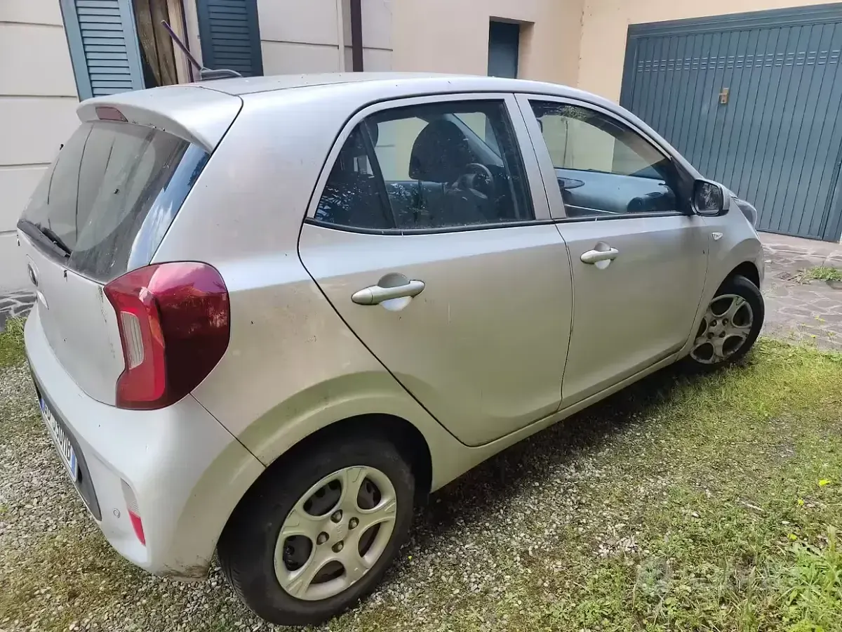 Usata Kia Picanto 67 CV (49 kW) 2021 Grigio Utilitaria
