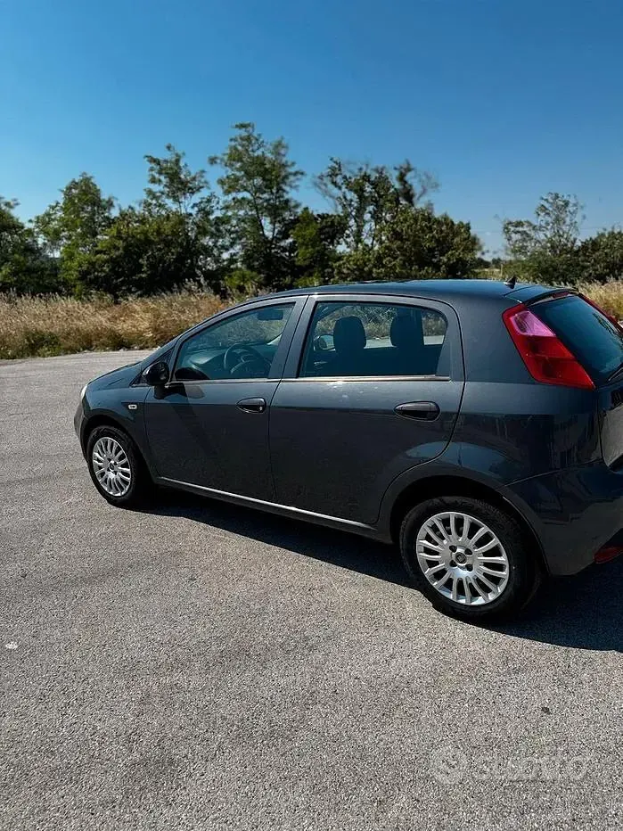 Usata Fiat Punto Lounge 69 CV (50 kW) 2015 Grigio Utilitaria