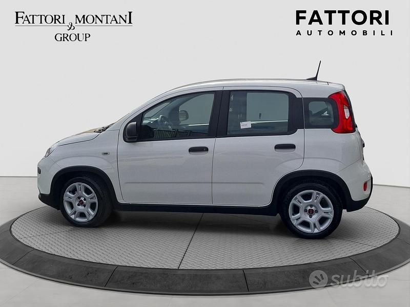 Usata Fiat Panda S 69 CV (50 kW) 2024 Bianco Berlina
