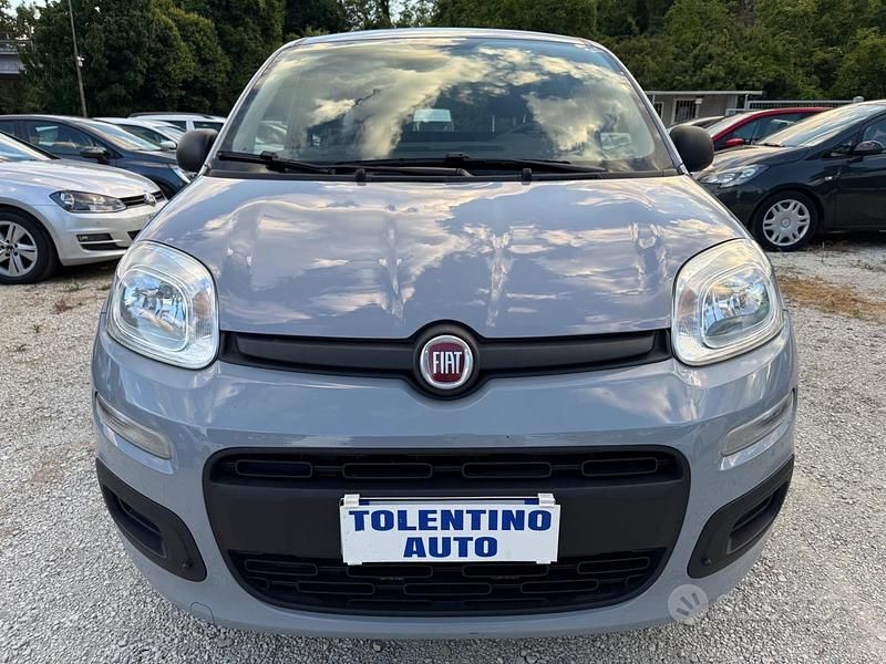 Usata Fiat Panda Easy 69 CV (50 kW) 2020 Grigio Utilitaria