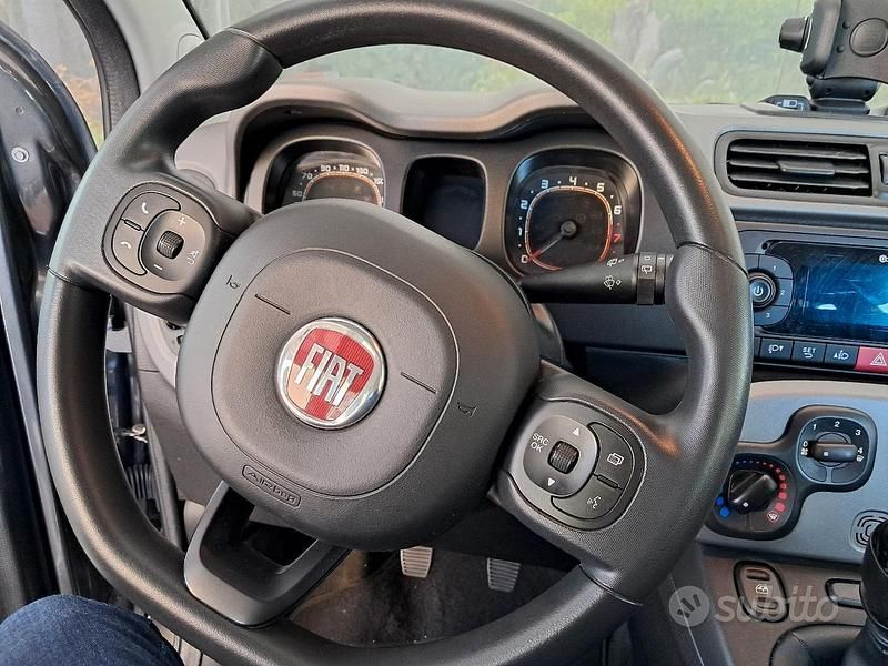 Usata Fiat Panda 2017 Grigio Utilitaria