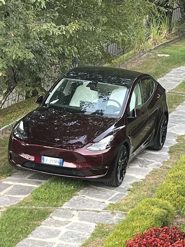 Usata Tesla Model Y Performance 155 kW (211 CV) 2023 Rosso SUV