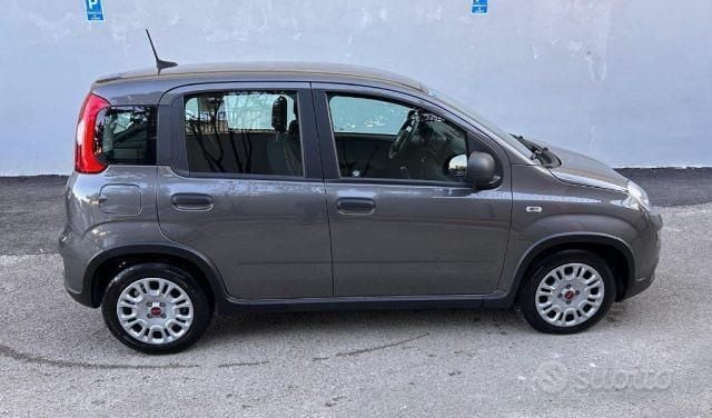Usata Fiat Panda S 70 CV (51 kW) 2021 Grigio Utilitaria