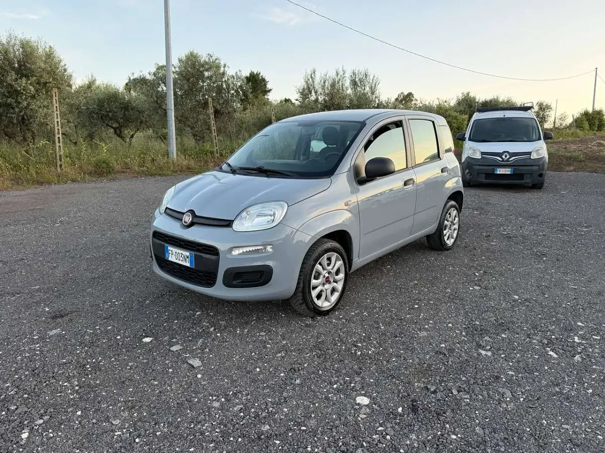 Usata Fiat Panda Easy 80 CV (58 kW) 2018 Grigio Utilitaria