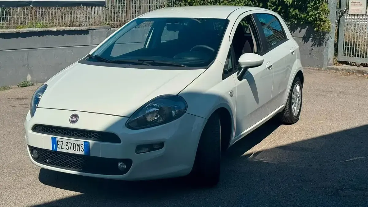 Usata Fiat Punto Lounge 75 CV (55 kW) 2015 Bianco Utilitaria