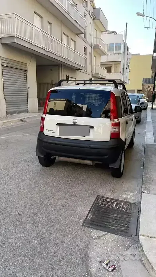Usata Fiat Panda 4x4 69 CV (50 kW) 2011 Utilitaria