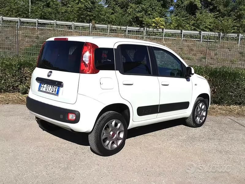 Usata Fiat Panda 4x4 80 CV (58 kW) 2016 Bianco Utilitaria