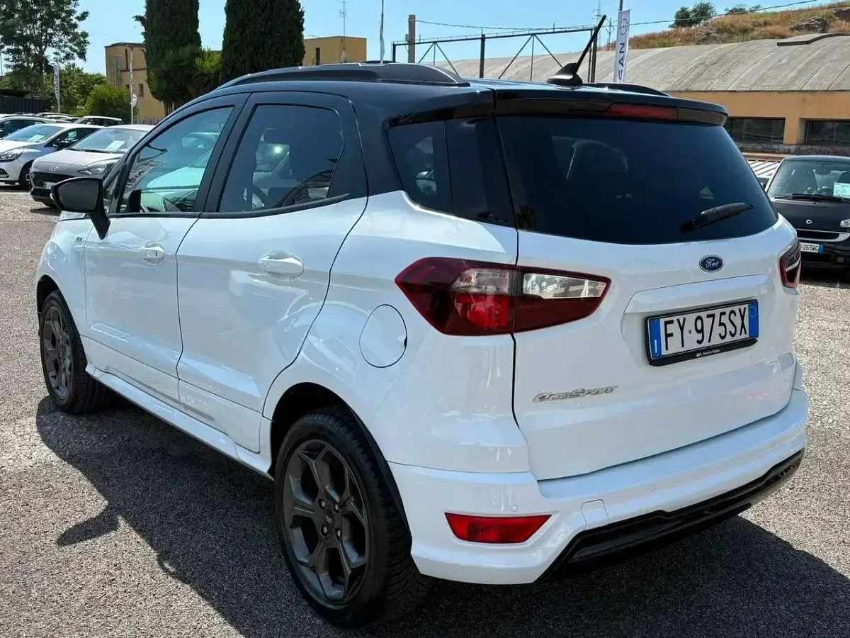 Usata Ford Ecosport ST-Line 125 CV (91 kW) 2019 Bianco SUV