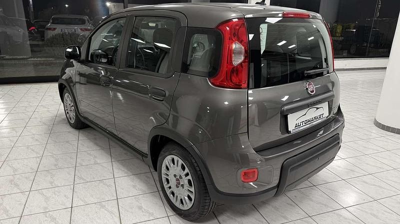 Usata Fiat Panda S 69 CV (50 kW) 2023 Grigio Utilitaria