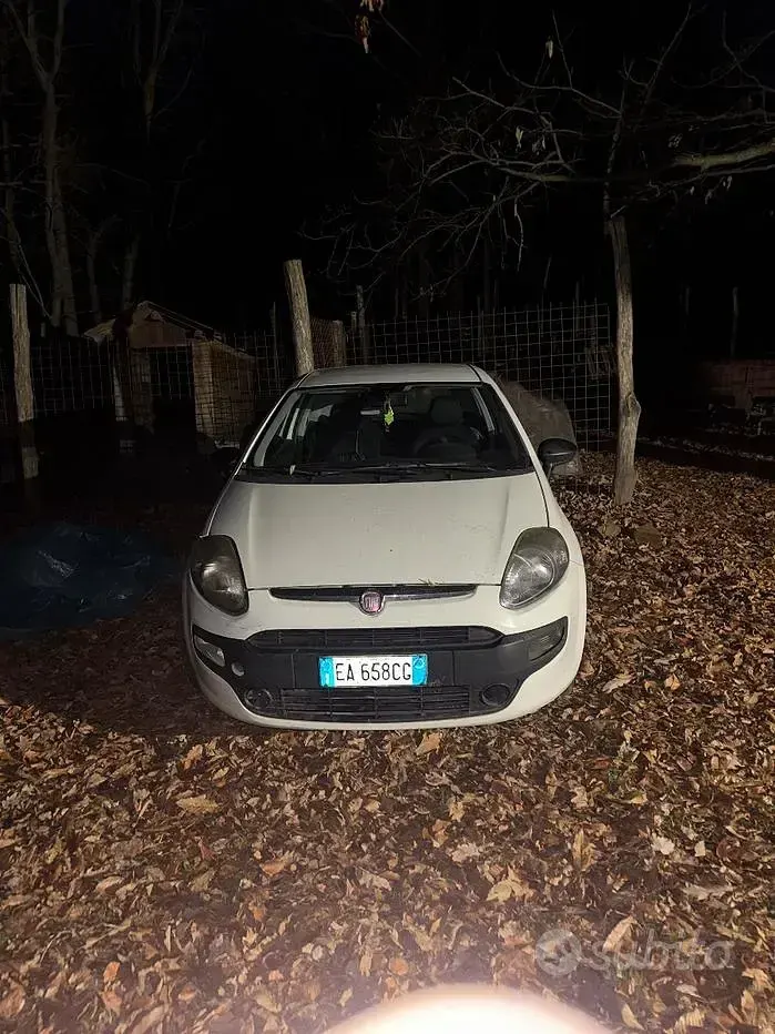 Usata Fiat Punto Evo 77 CV (56 kW) 2009 Bianco Utilitaria