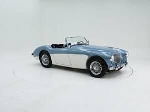 Usata Austin Healey 100 90 CV (66 kW) 1954 Altri Cabrio