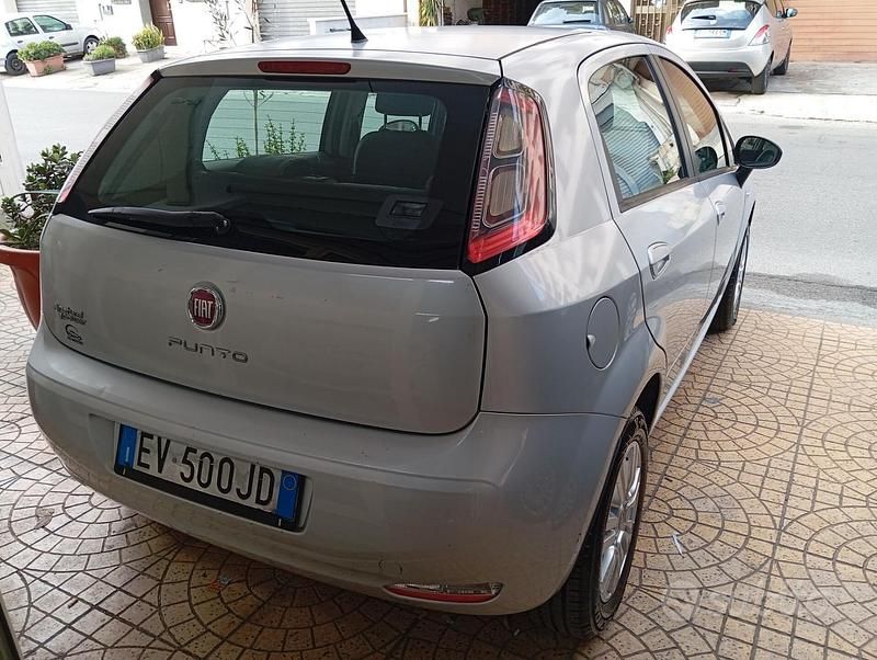Usata Fiat Punto Lounge 69 CV (50 kW) 2014 Grigio Utilitaria