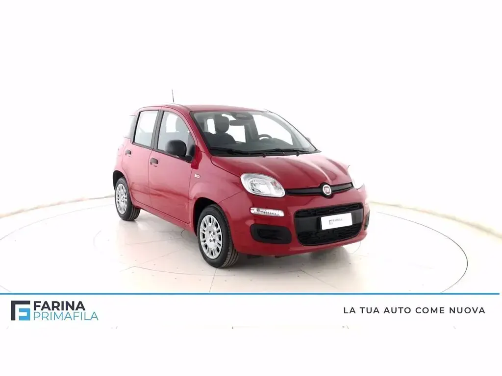 Nuova Fiat Panda S 69 CV (50 kW) 2025 Rosso passione pastello Utilitaria