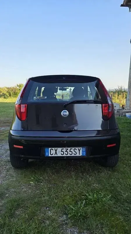 Usata Fiat Punto Active 69 CV (50 kW) 2005 Nero Utilitaria