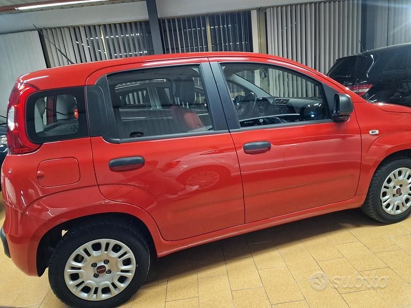 Usata Fiat Panda Connect 69 CV (50 kW) 2020 Rosso Berlina