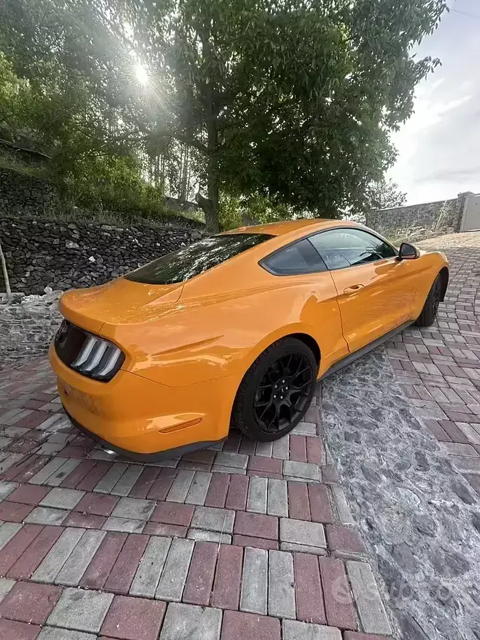 Usata Ford Mustang Fastback 291 CV (214 kW) 2020 Arancione Coupé