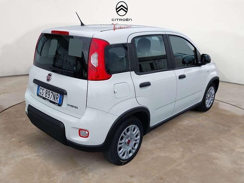 Usata Fiat Panda 69 CV (50 kW) 2024 Bianco Utilitaria