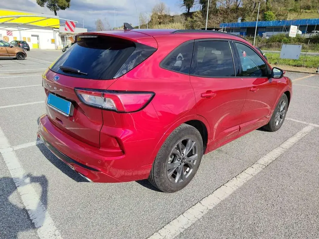 Usata Ford Kuga ST-Line 120 CV (88 kW) 2022 Rosso SUV