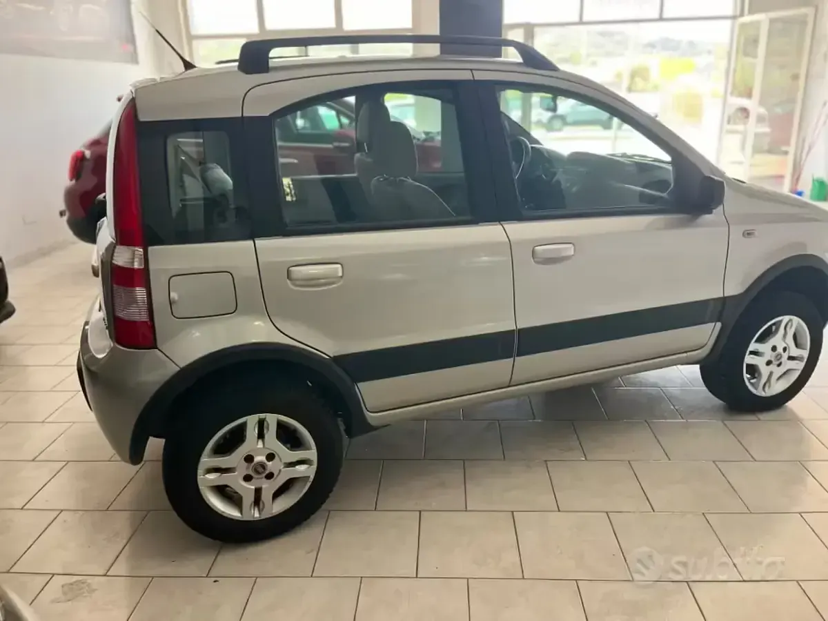 Usata Fiat Panda 4x4 Climbing 69 CV (50 kW) 2007 Grigio Utilitaria