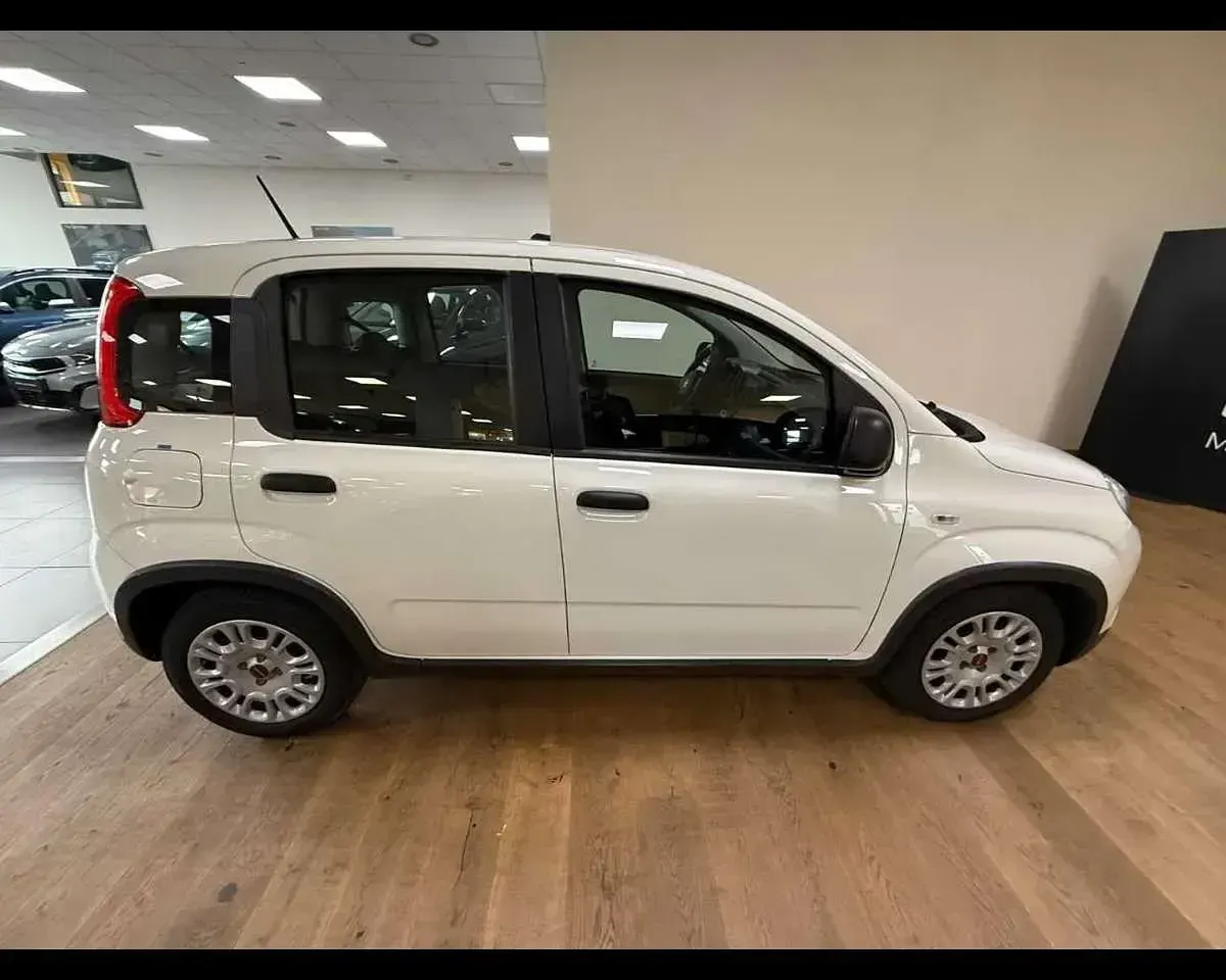 Usata Fiat Panda Sport 69 CV (50 kW) 2022 Other Utilitaria