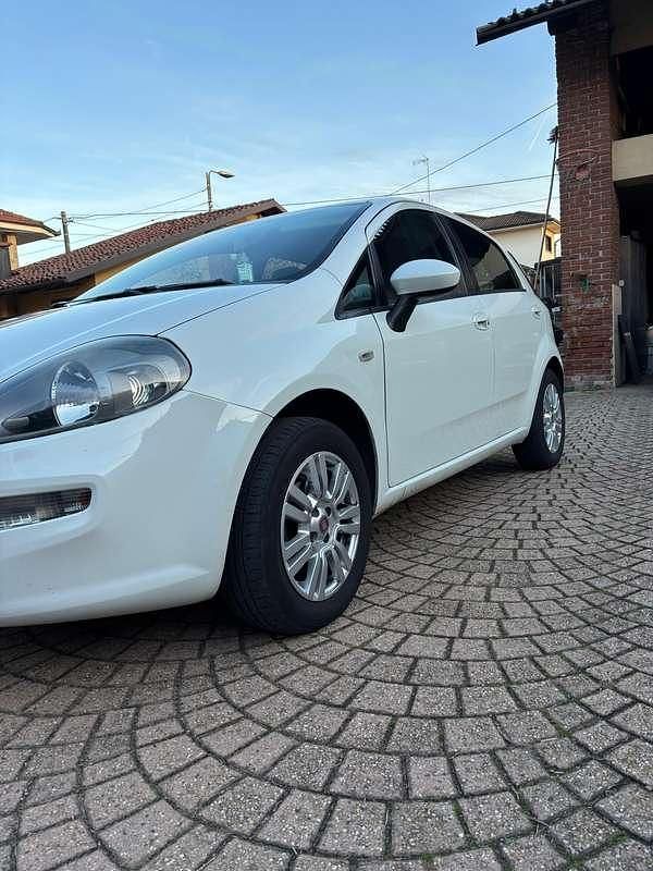 Usata Fiat Punto Evo Emotion 77 CV (56 kW) 2015 Utilitaria