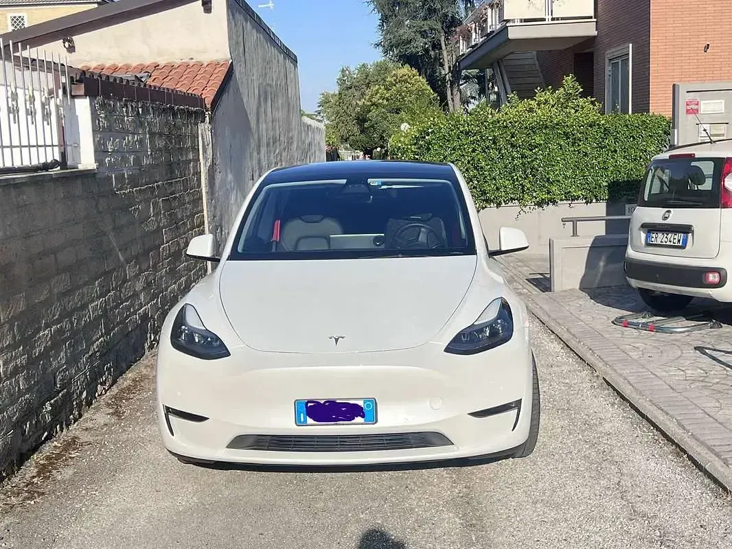Usata Tesla Model Y Performance 155 kW (211 CV) 2022 SUV