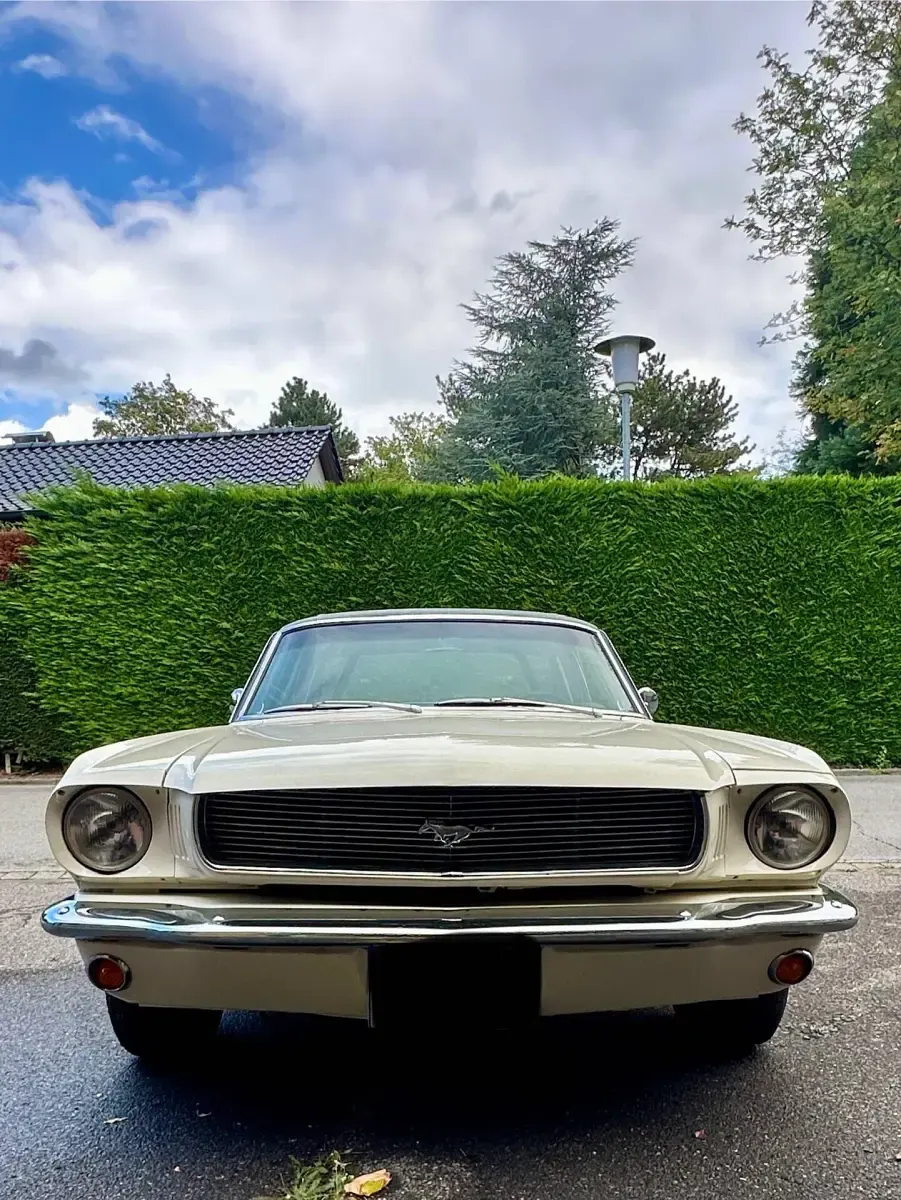 Usata Ford Mustang 228 CV (167 kW) 1966 Beige Coupé