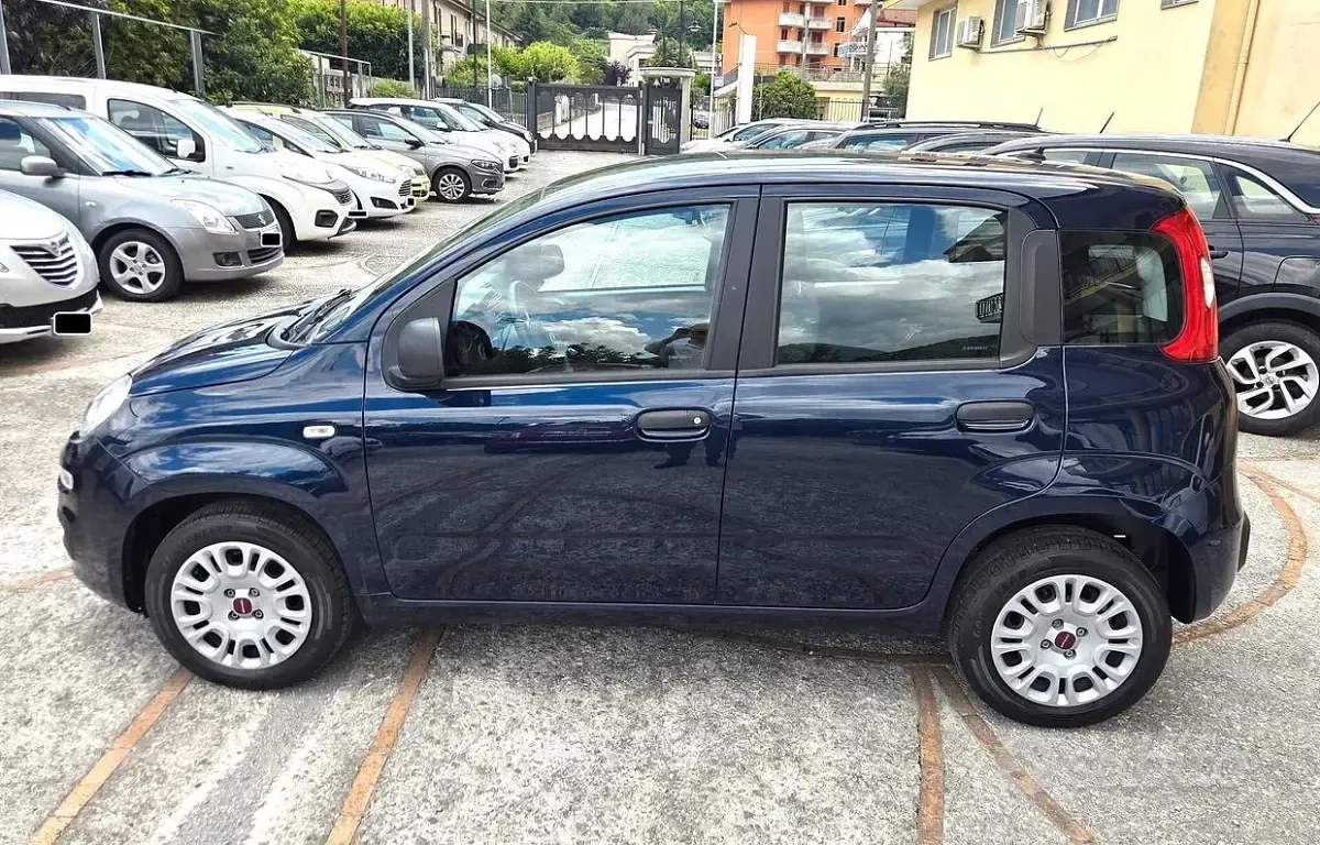 Usata Fiat Panda 69 CV (50 kW) 2020 Bluazzurro Utilitaria