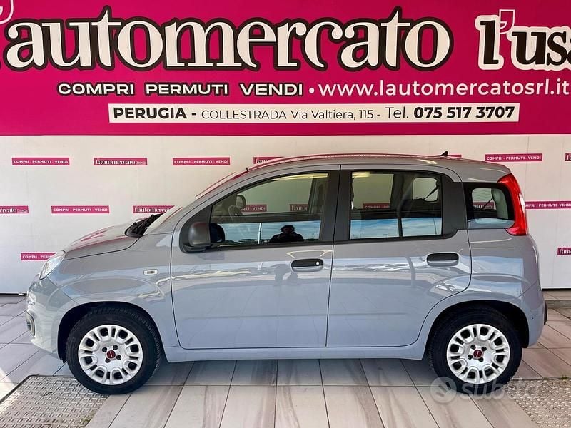 Usata Fiat Panda 69 CV (50 kW) 2022 Grigio Utilitaria
