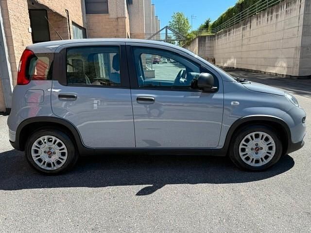 Usata Fiat Panda S 69 CV (50 kW) 2022 Grigio Utilitaria