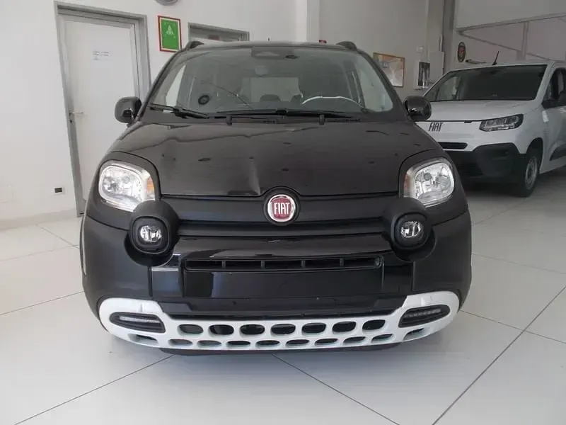 Usata Fiat Panda Cross Cross 65 CV (47 kW) 2025 Utilitaria