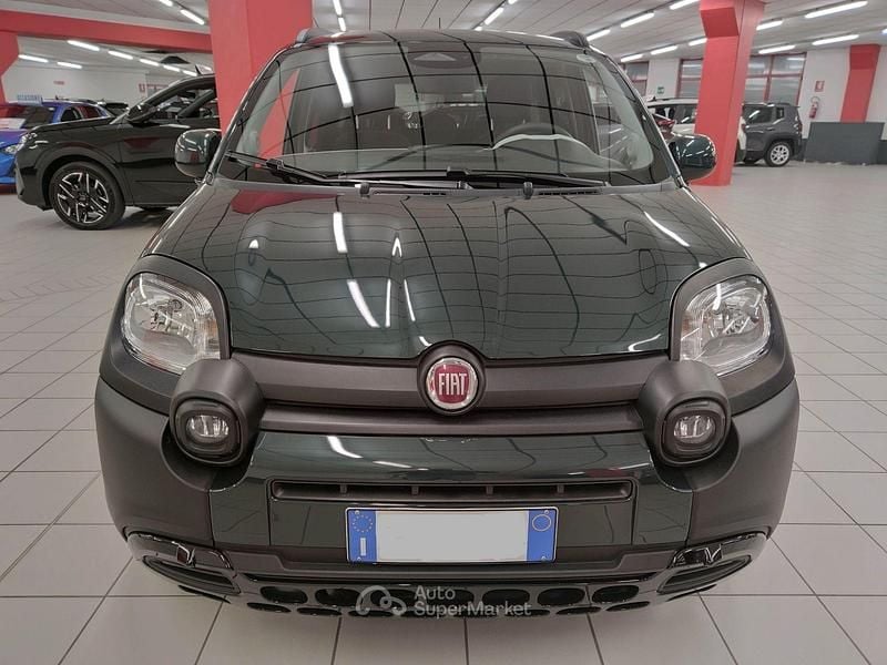 Usata Fiat Panda Cross Cross Plus 69 CV (50 kW) 2025 Verde Utilitaria