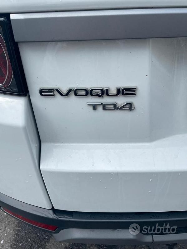 Usata Land Rover Range Rover evoque 160 CV (117 kW) 2012 Bianco SUV