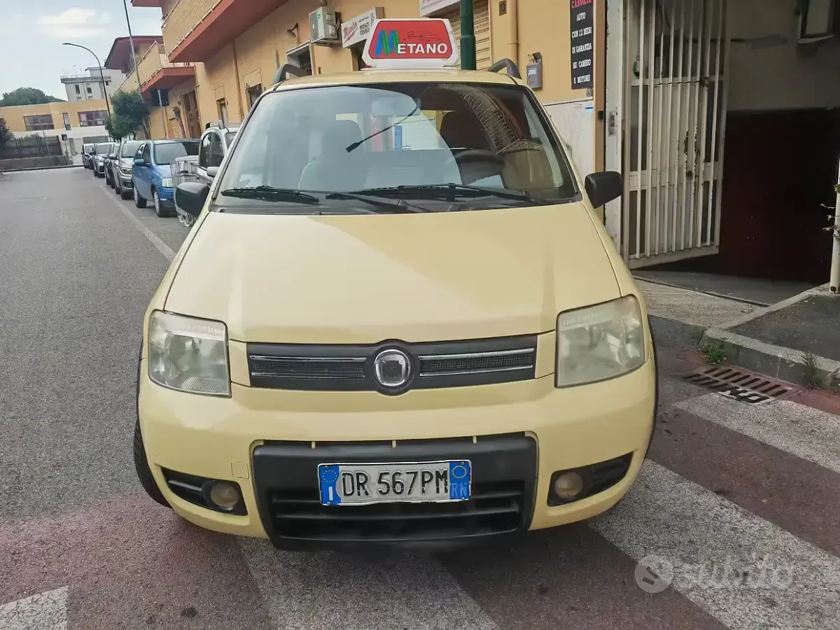 Usata Fiat Panda Climbing 60 CV (44 kW) 2008 Giallo Utilitaria