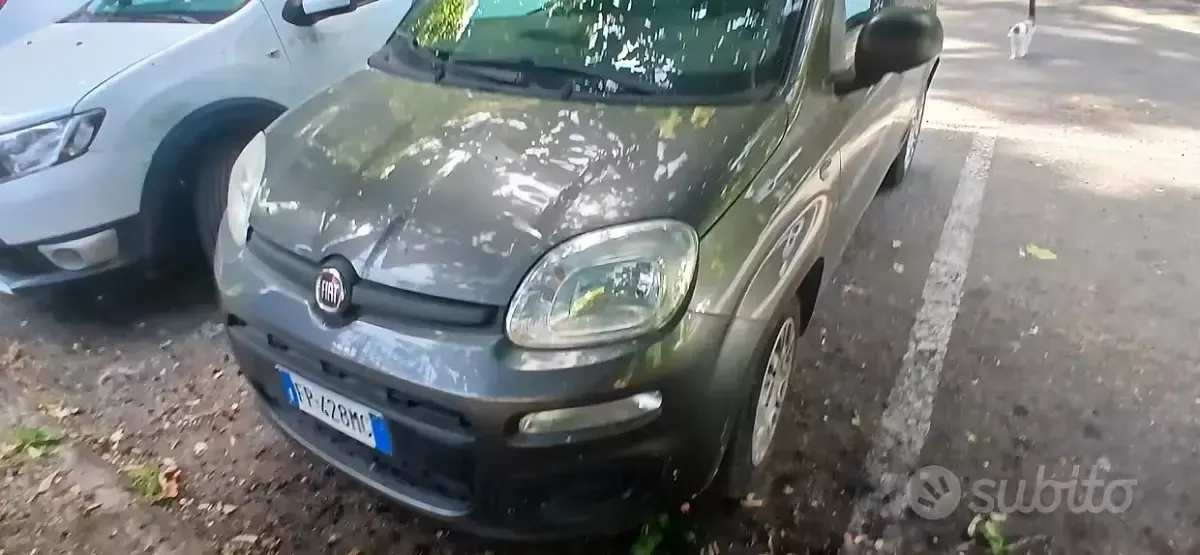 Usata Fiat Panda 69 CV (50 kW) 2018 Utilitaria