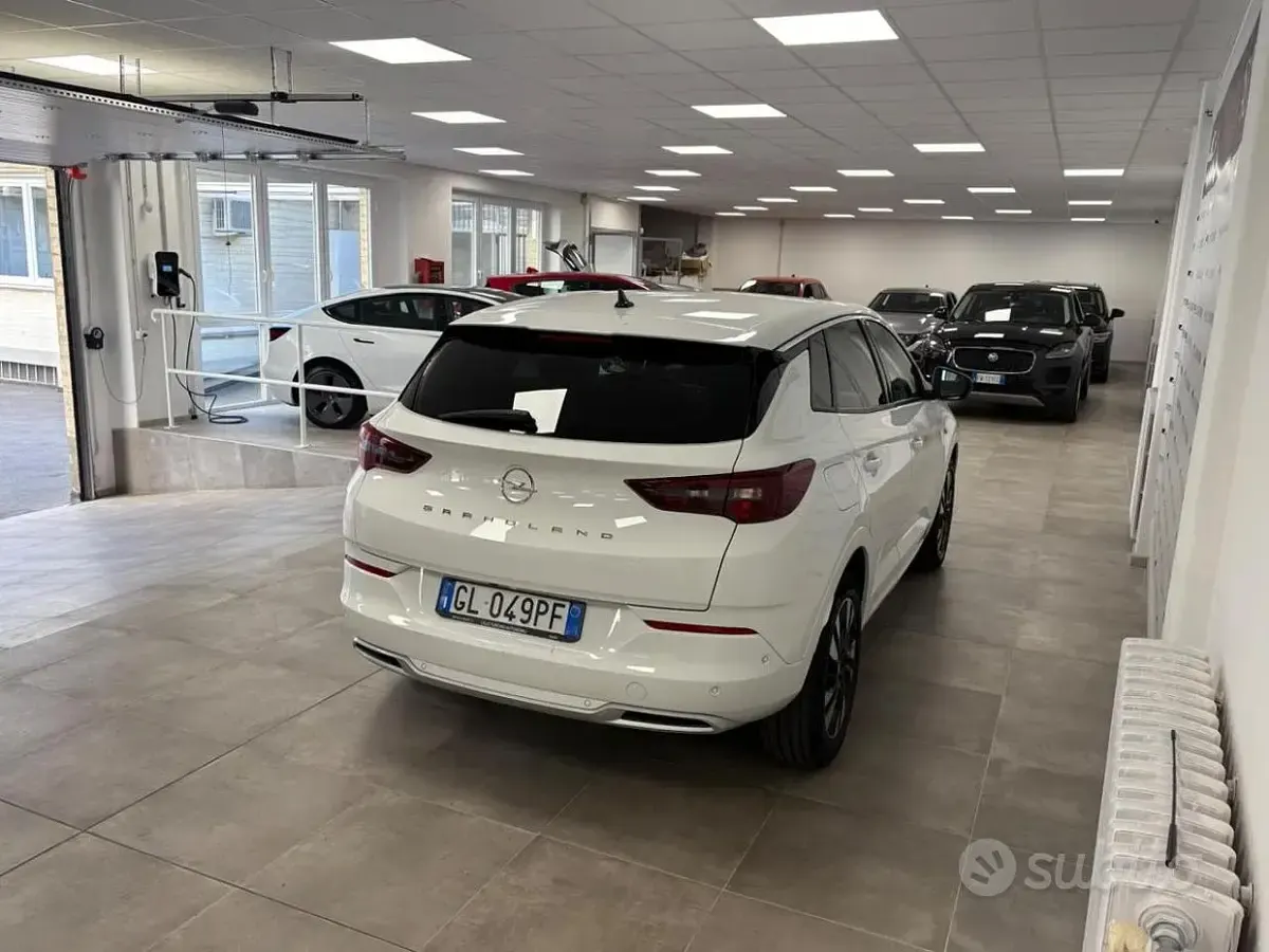 Usata Opel Grandland X Business Elegance 131 CV (96 kW) 2022 Bianco SUV