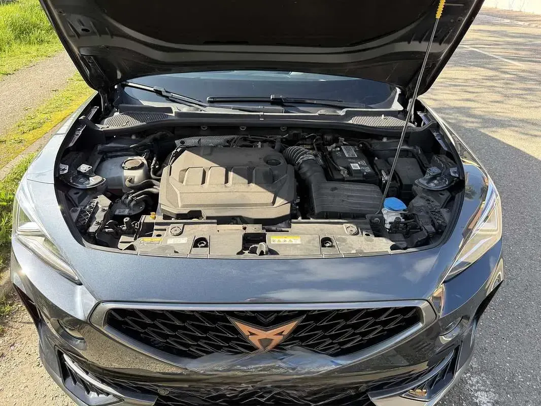 Usata Cupra Formentor 150 CV (110 kW) 2021 SUV
