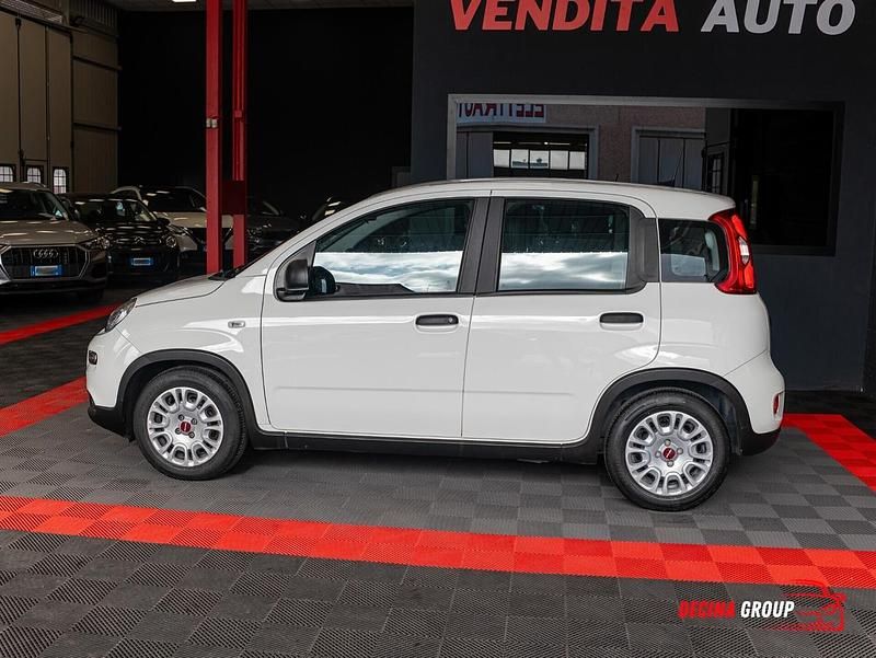 Usata Fiat Panda S 70 CV (51 kW) 2023 Bianco Utilitaria