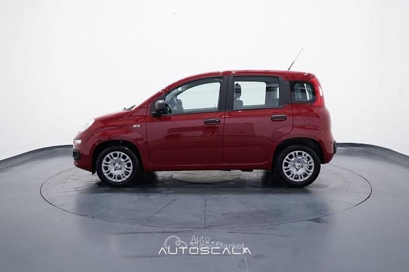 Nuova Fiat Panda S 69 CV (50 kW) 2026 Rosso Berlina