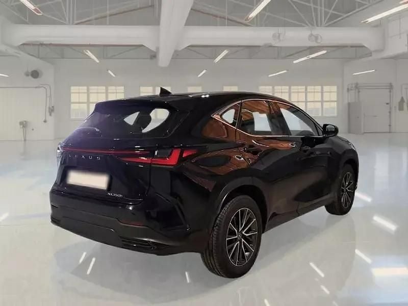 Usata Lexus NX350h Business Edition 190 CV (139 kW) 2023 Nero SUV
