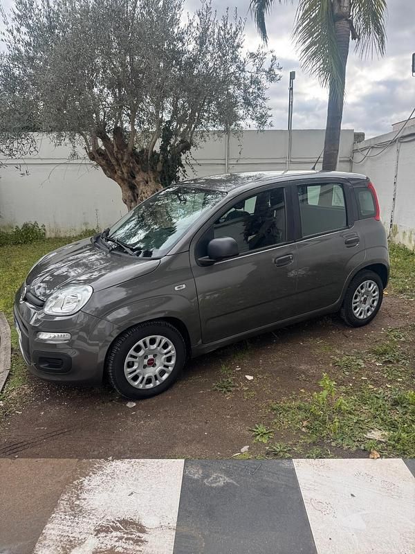 Usata Fiat Panda S 70 CV (51 kW) 2021 Grigio Utilitaria