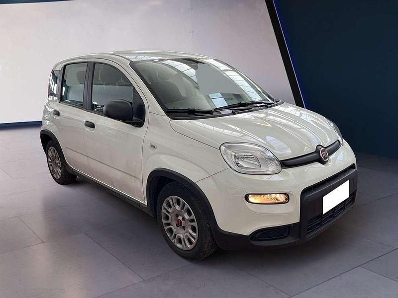 Usata Fiat Panda S 69 CV (50 kW) 2023 Bianco Utilitaria
